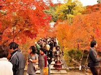 Du lịch Nhật Bản: Hà Nội - Tokyo - Núi Phú Sỹ - Kyoto - Osaka - Seoul - Everland - Hà Nội